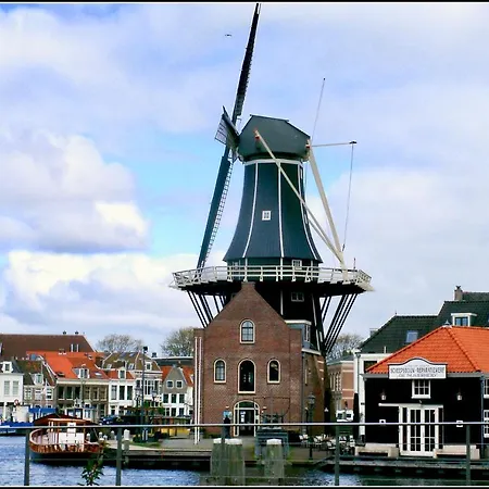 Tegenover De Molen Couette-café Haarlem